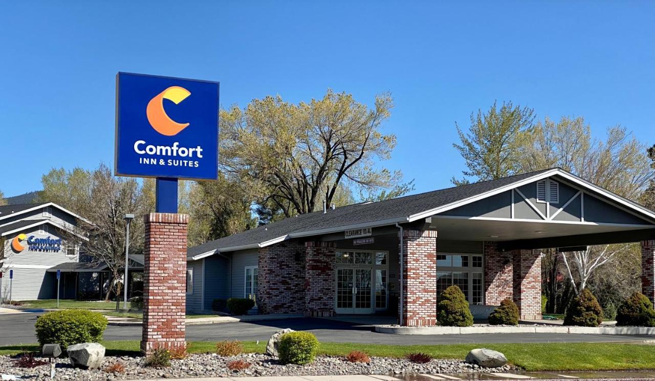 Comfort & Hotel