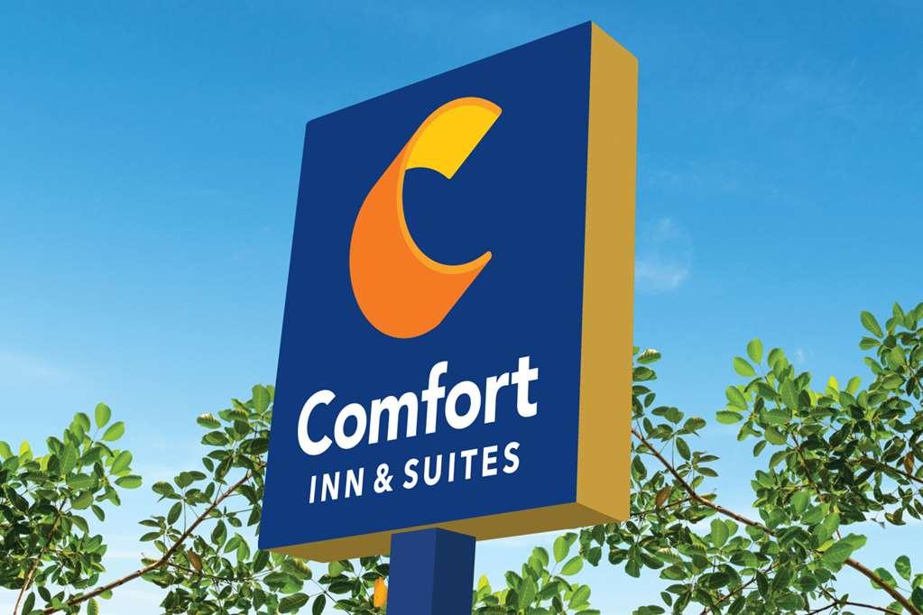 Hotel Comfort & Susanville