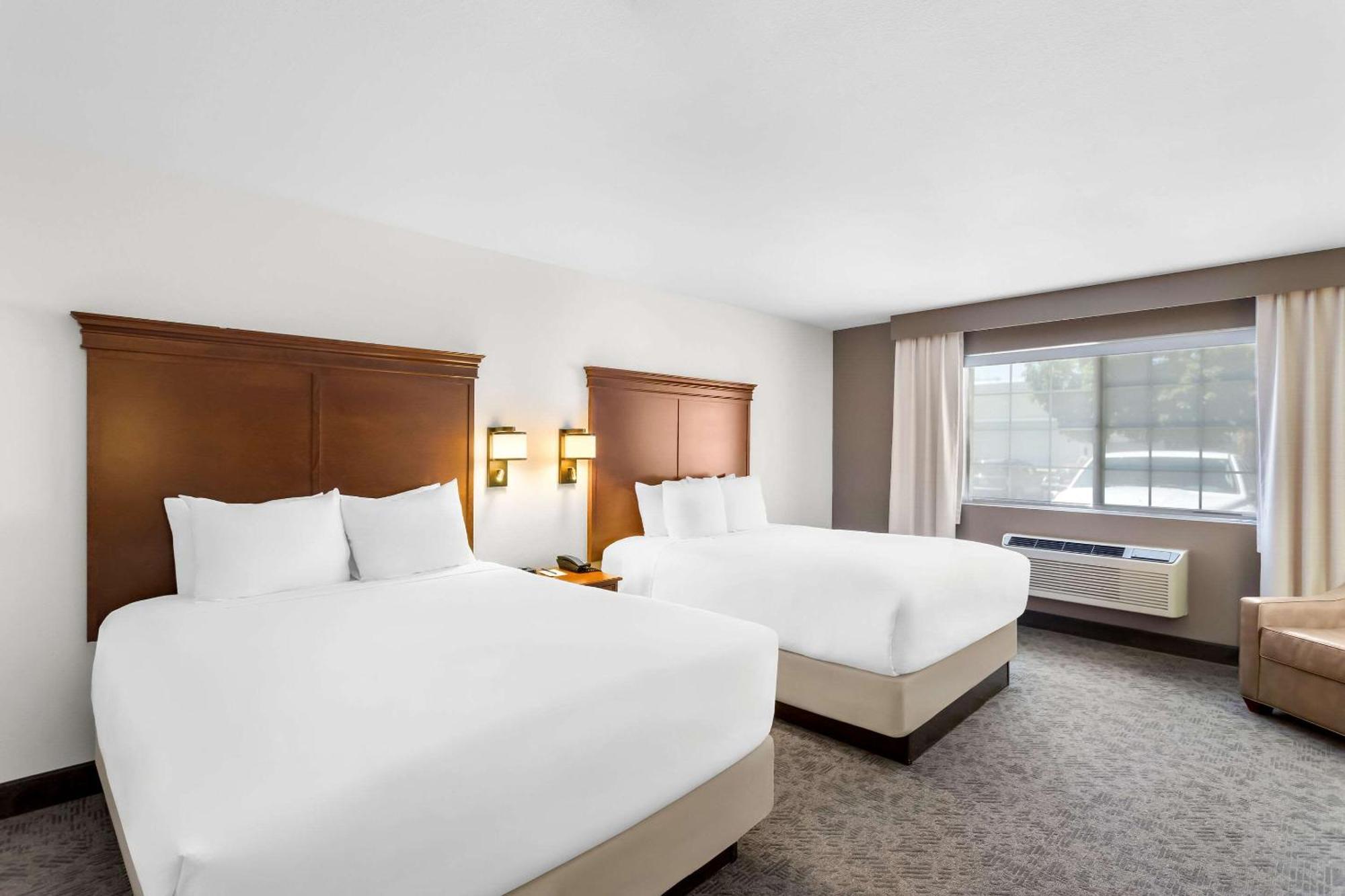 Comfort & Hotel